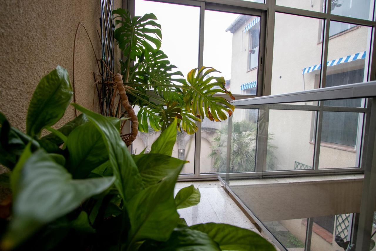 La Maison D'Antonin 尼姆 外观 照片